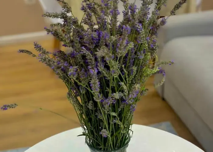 Seaside Modern Διαμέρισμα